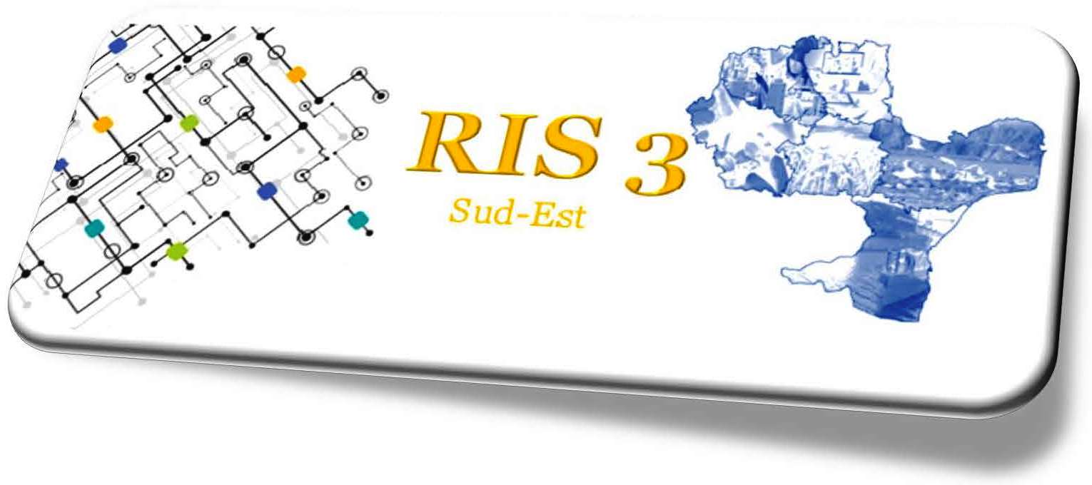 RIS3 2021